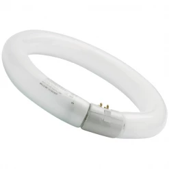 Tube Néon Tube Fluorescent T9 Circline HR 40W 840 G10Q Sylvania - 4000 K