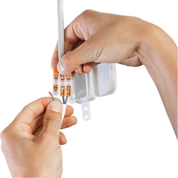 Borne De Connexion Borne à Levier Inline Wago - Pour Tous Types De Conducteurs Max 4 Mm² - 2 Conducteurs - Lot De 60 221-2411 4 Borne De Connexion Borne à Levier Inline Wago - Pour Tous Types De Conducteurs Max 4 Mm² - 2 Conducteurs - Lot De 60 221-2411 – Image 3